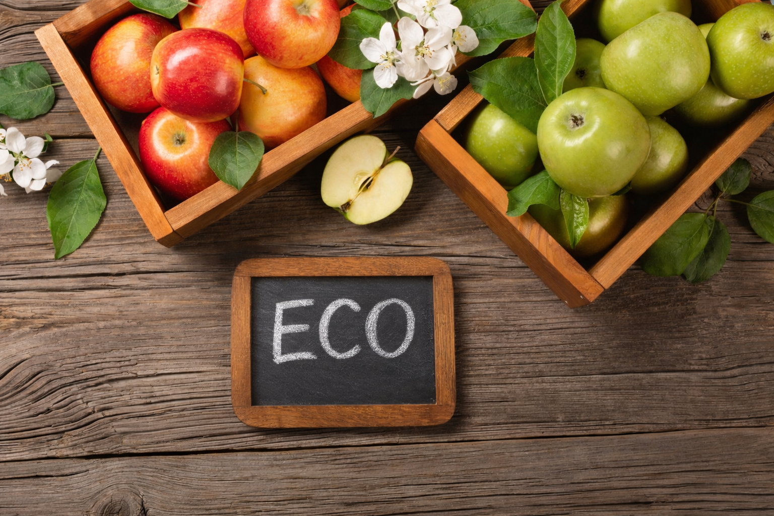 De ce din ingrediente ecologice?